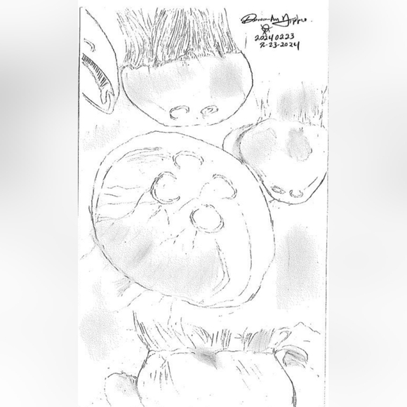 Meet your Posher, Denese - Picture 16 of 16